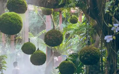 植物园智能灌溉应用(图1)