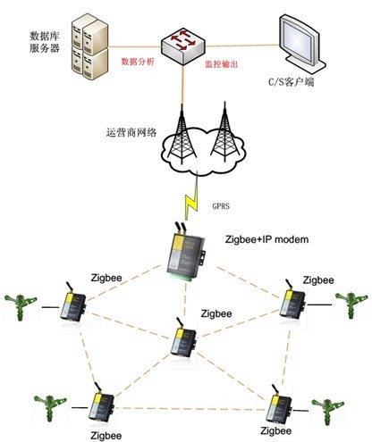百年本钢：以科技创新挺起“钢铁脊梁”(图1)