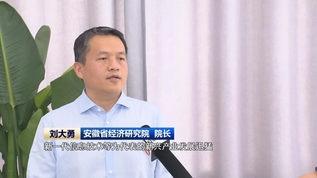 【科技创新引领新质生产力发展】投资向“新”产业提“质” 安徽奋力“往前赶”(图12)