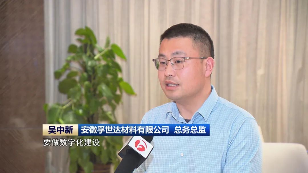 【科技创新引领新质生产力发展】投资向“新”产业提“质” 安徽奋力“往前赶”(图9)