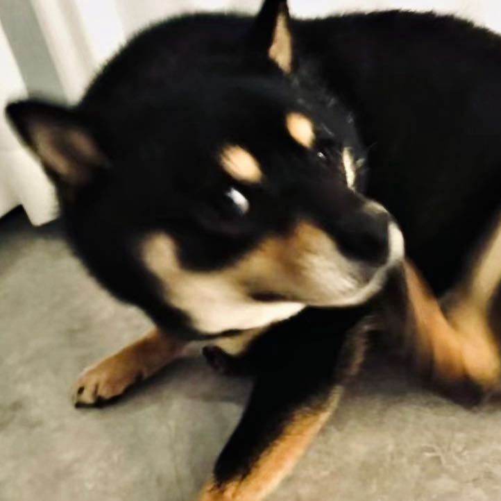 可油可电的豪华SUV！沃尔沃XC70：用车成本低3月还有购车福利(图1)